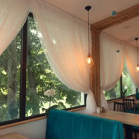 Vila Rica Pensiune 4*