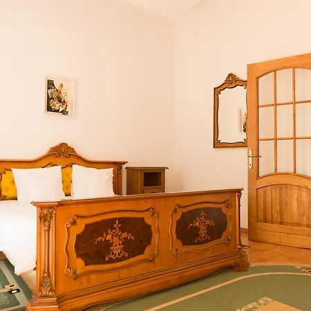 Vila Rica Pensiune Slănic Moldova